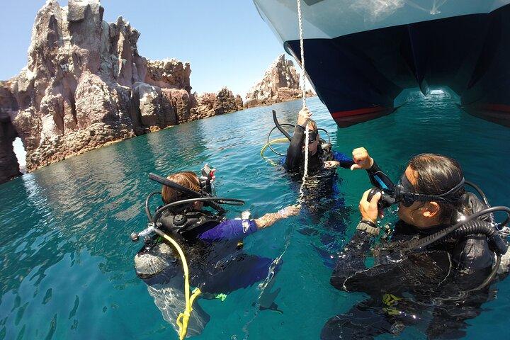 Los Cabos Beginner Scuba Dive Experience
