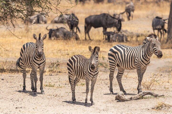 5 Days Tanzania Private Safari Tour