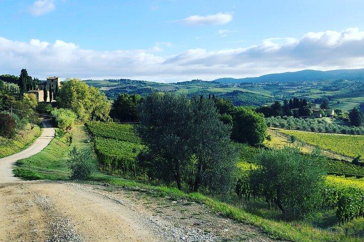 Hiking Tuscany & Chianti Wine - 3 Organic Wineries with lunch