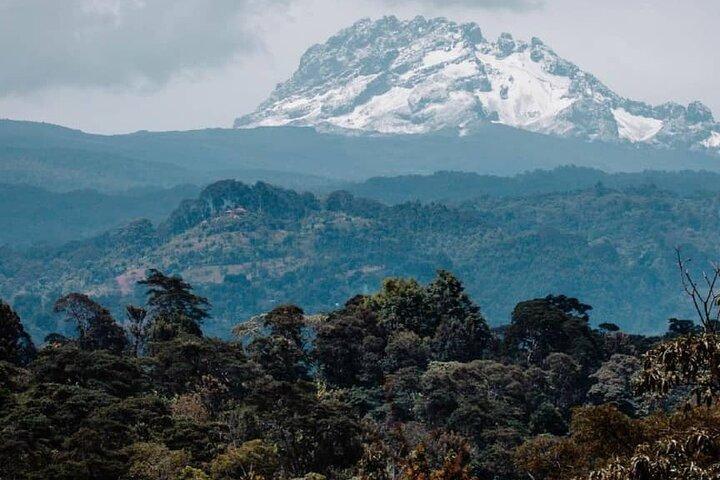 Materuni Waterfalls, coffee tour & Kikuletwa Hot Springs
