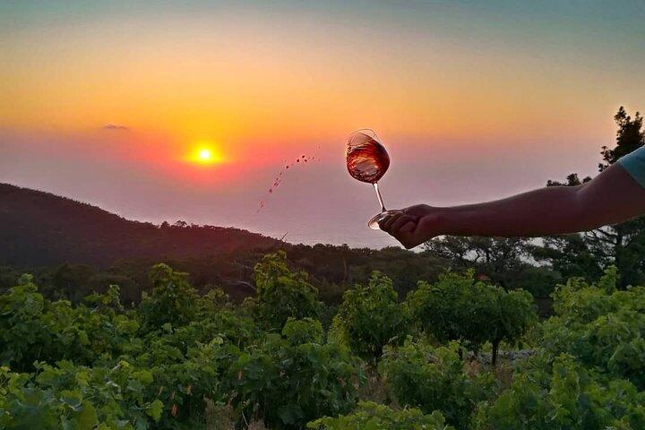 Winery Tour and Wine Tasting at Karimalis Winery in Ikaria