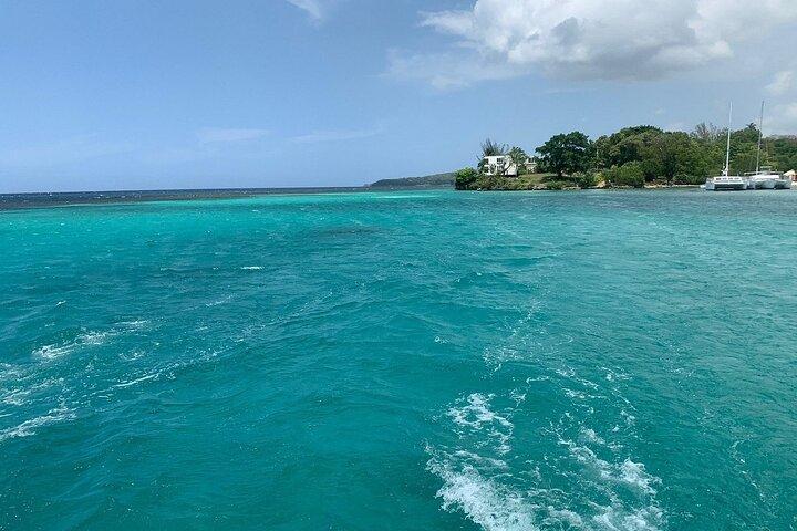 Dunn's River Falls Party Cruise, Blue Hole with Snorkeling, free beverages