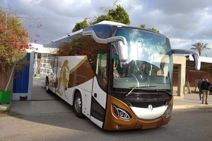 Private Transfer from Cairo/Sharm El Shiekh/Hurghada Airports