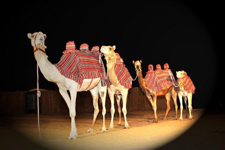 Premium Private Desert Safari with Camel Ride & Live BBQ Dinner