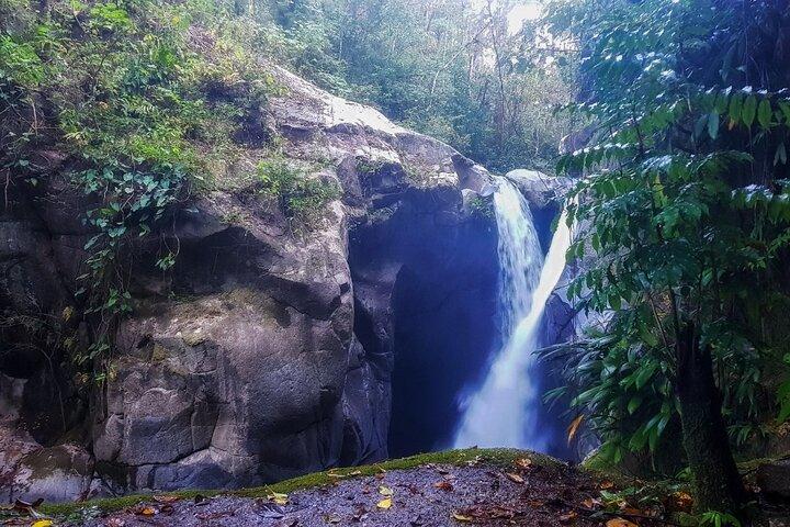 2 Day Minca Tour with Bird Watching