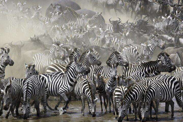 6-Day Private Safari in Northern Tanzania from Arusha
