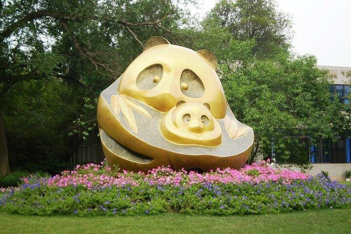 Sanxingdui Ruins and Giant Pandas Private Day Tour from Chengdu