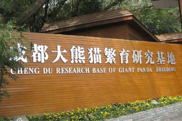 Sanxingdui Ruins and Giant Pandas Private Day Tour from Chengdu