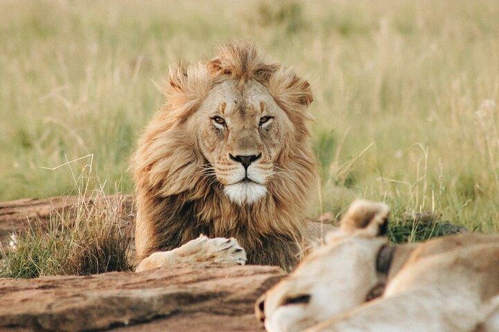 4 Days Experience big five in Tarangire, Serengeti & Ngorongoro Safari