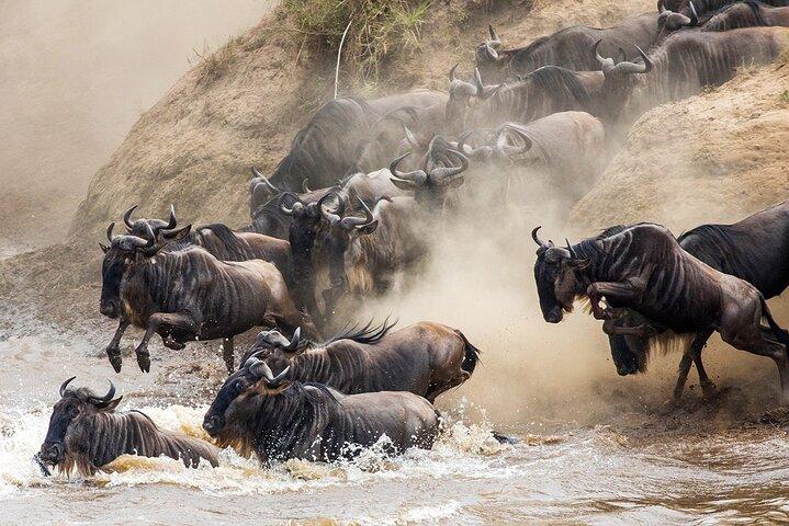 Tarangire National park and Ngorongoro Crater