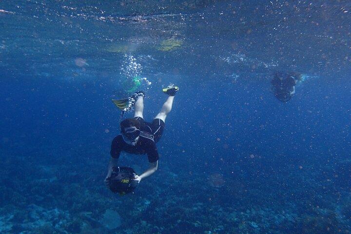 Small-Group Sea Scooters Snorkel at Mangel Halto Beach in Aruba
