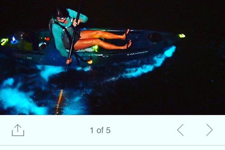 Bioluminescent Clear Bottom Kayak or Paddleboard Sit-On-Top Kayak Hybrid Tour!