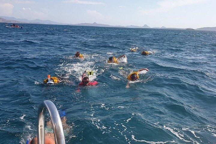 1- day Komodo Island Hopping Tour by Speed Boat departure From Labuan bajo