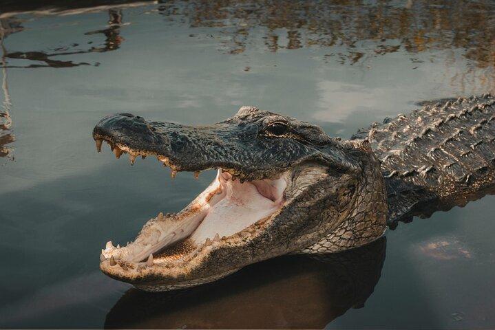 3-Day Florida: Miami Bus & Boat, Everglades & Key West Snorkeling