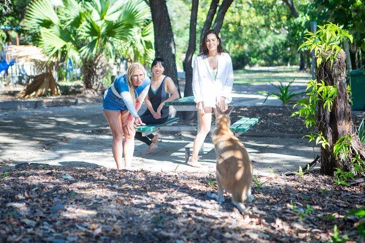 1.5 hr Jet Ski Safari tour to South Stradbroke Island!