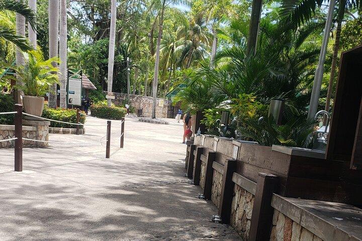 Dunn's River Falls & Blue Hole Tour from Montego Bay