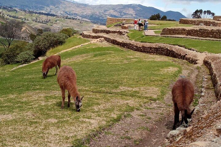 Private Tour from Cuenca to Ingapirca Ruins with Lunch