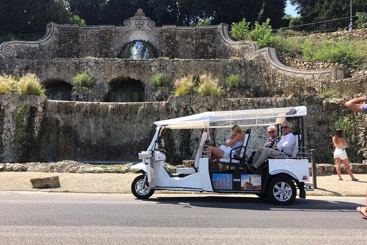 Private Tour of the Historic Center of Florence by Golf Car