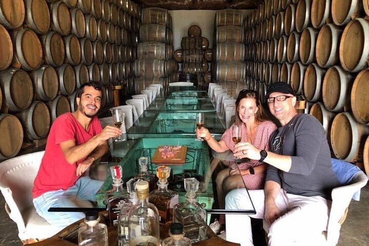 Tequila: Private Half-Day Tour
