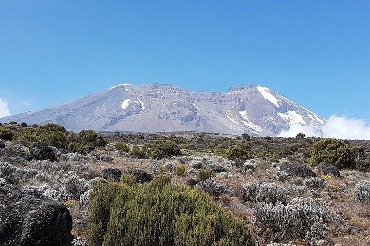 8 Day Kilimanjaro Lemosho Climb