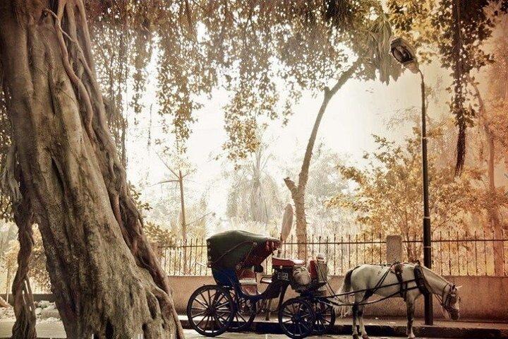 4-Hour Walking and Horse Carriage City Tour of Cairo