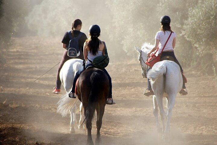 Granada & Sierra Nevada Horse Riding Tour