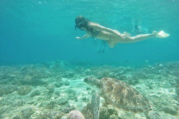 Gili island Snorkeling Half Day Trip departure from Gili Trawangan