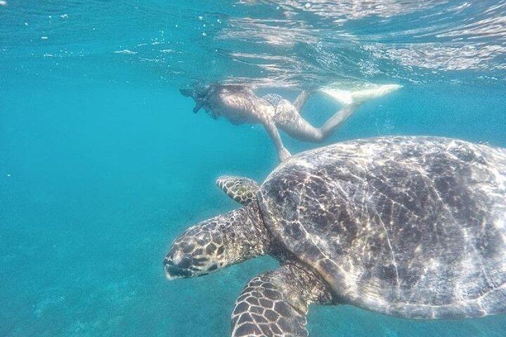 Gili Trawangan,Gili Meno& Gili Air Island:Snorkeling Day Trip Depart from Lombok