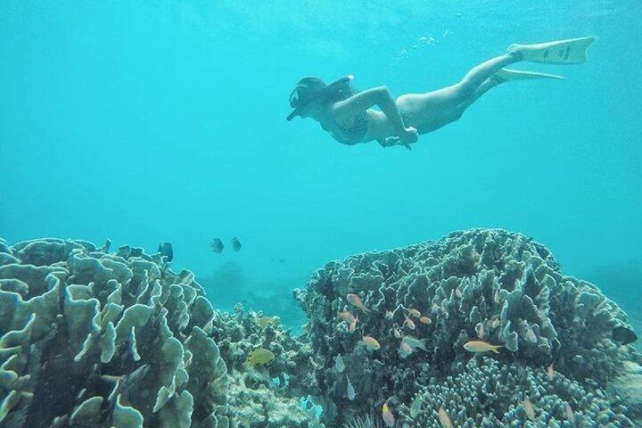 Gili Trawangan,Gili Meno& Gili Air Island:Snorkeling Day Trip Depart from Lombok