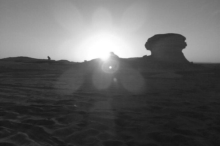 Day Trip To Bahariya Oasis From Cairo Visit White & Black Desert