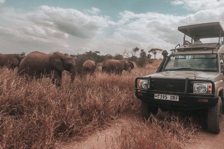 6 Days Budget Tanzania Camping