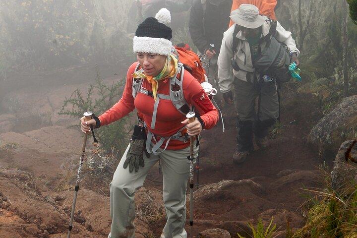 Kilimanjaro day hike on the Shira Plateau from / to Moshi