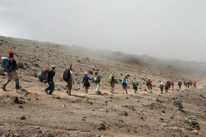 Kilimanjaro day hike on the Shira Plateau from / to Moshi