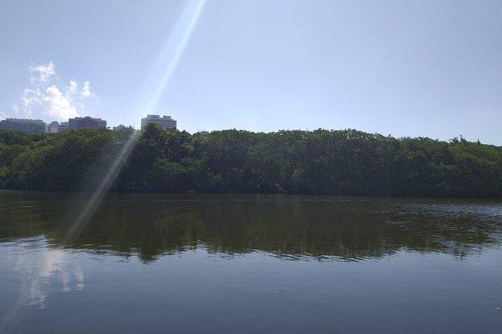Half-Day Boat Tour in Marapendi Lagoon from Rio de Janeiro