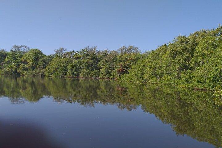 Half-Day Boat Tour in Marapendi Lagoon from Rio de Janeiro