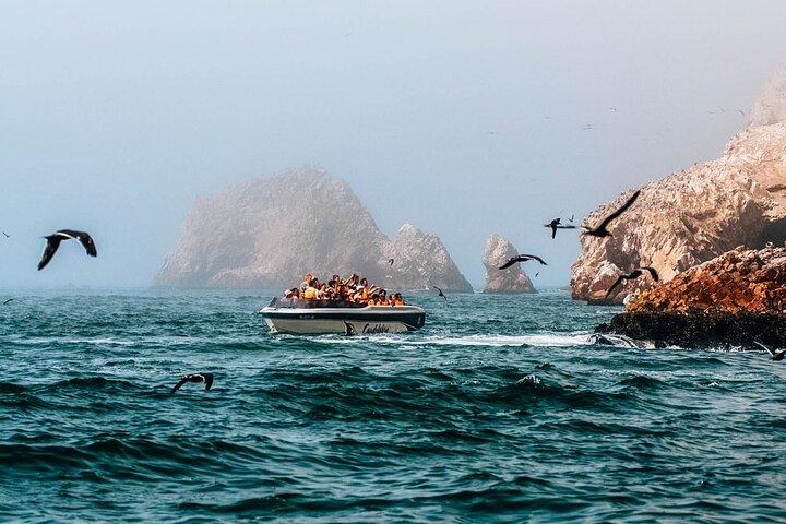 2 Day Tour from Lima: Paracas, Ballestas Island and Huacachina