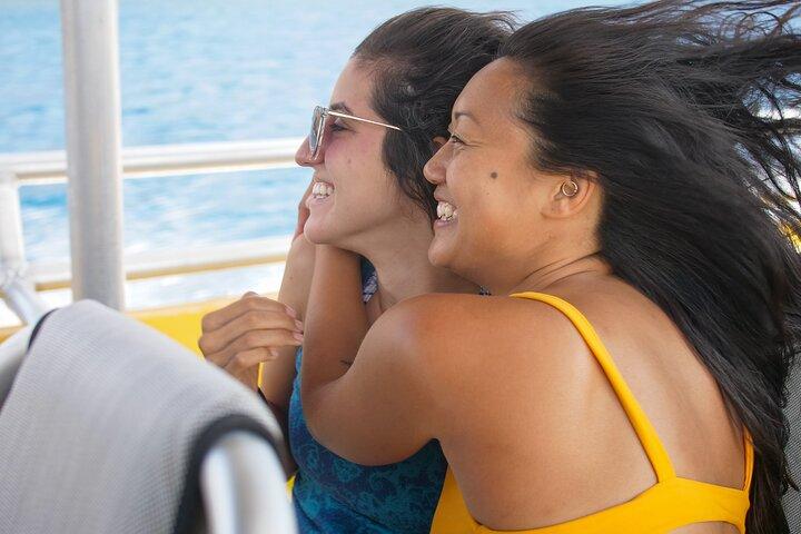 HIGH QUALITY Whale Watch Adventure Aboard Luxury Super Raft