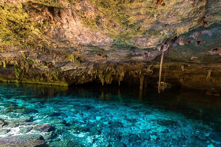 Tulum Jungle Combo: Turtles, ATV, Ziplines & Cenote Full-Day