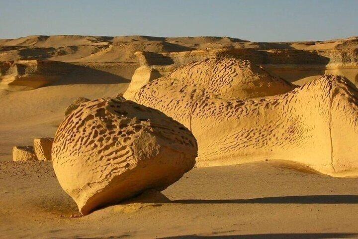 Day Trip to El Fayoum Oasis from Cairo and Giza
