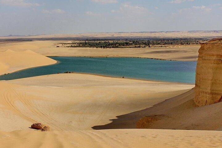 Day Trip to El Fayoum Oasis from Cairo and Giza