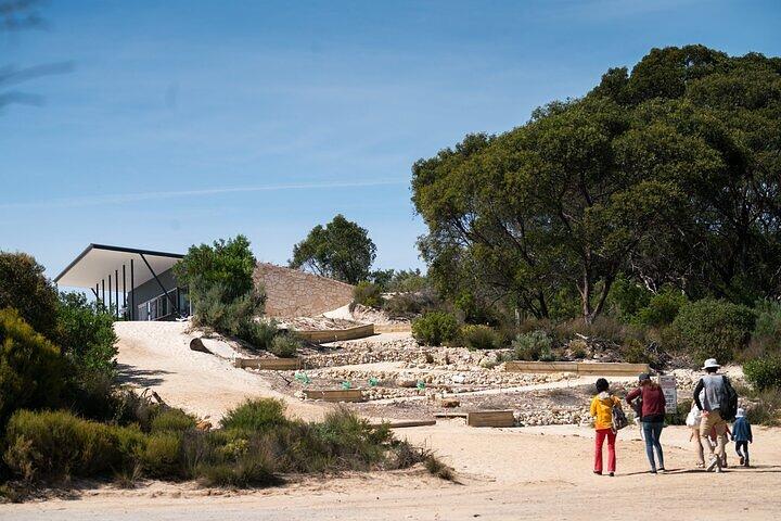 Koala Walking Tour in Kangaroo Island