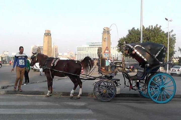 Discover The Amazing Nightlife Of Cairo And Riding the Carriage