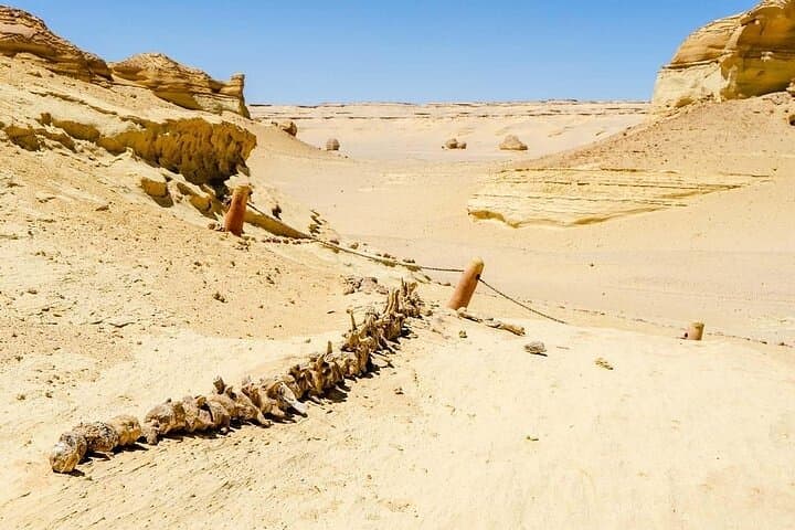 Private Day Tour To El Fayoum From Cairo