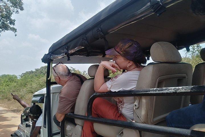 Udawalawa Safari tour - All inclusive day tour (Group)