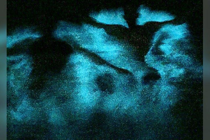 Luminous Lagoon (Glistening Waters) and Rose Great House Haunted Night Tour