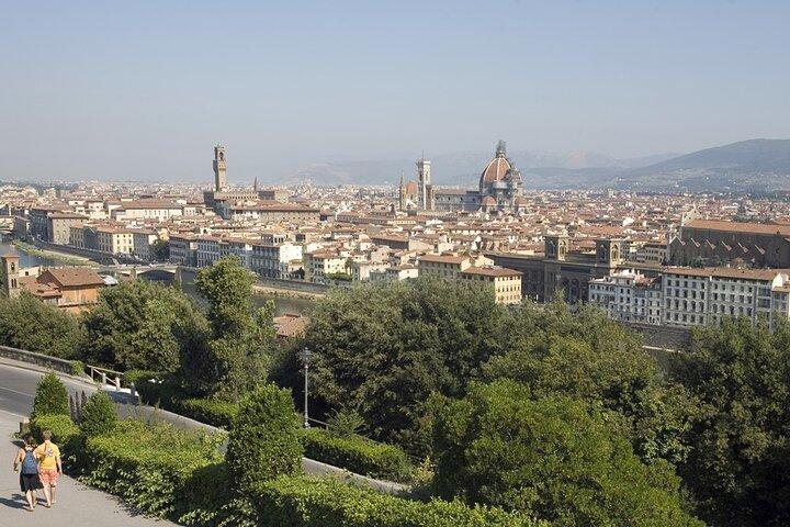 Private Electric Bike 2 hours Tour of Florence Hills with Gelato Tasting