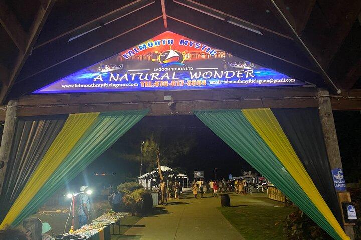 Luminous Lagoon Night Tour from Montego Bay