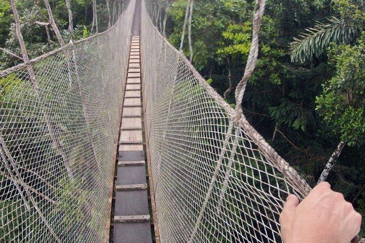 3-Day All Inclusive Guided Jungle Tour from Iquitos at Maniti Eco-Lodge