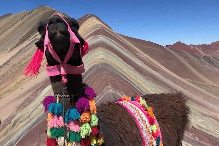 Vinicunca Rainbow Mountain Full-Day Tour from Cusco