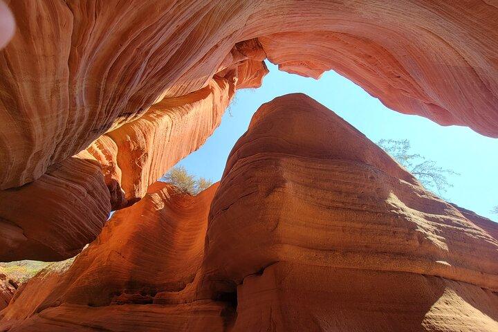 Guided tours in southern Utahs slot canyons, Indian ruins, and national parks.